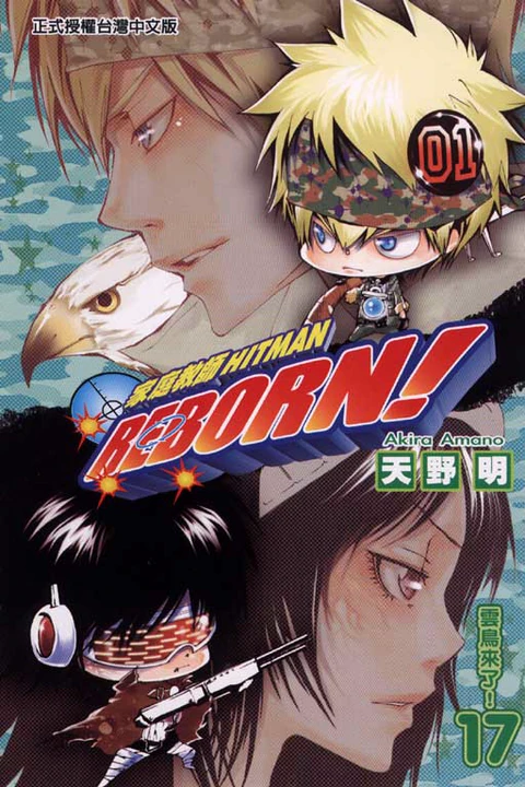 第17卷 封面