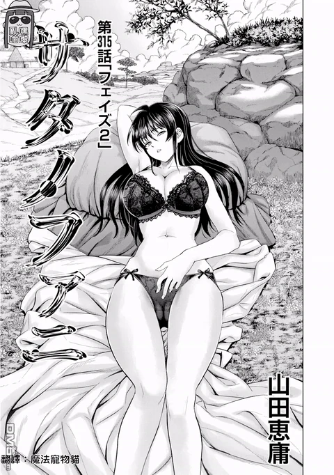第315话 封面